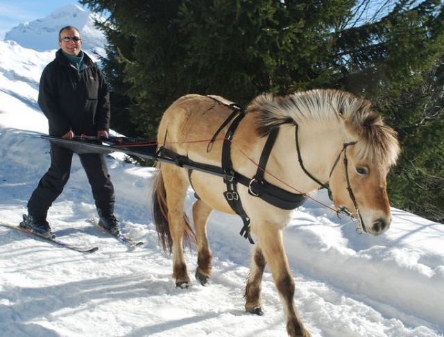  descente tranquille en ski joering 